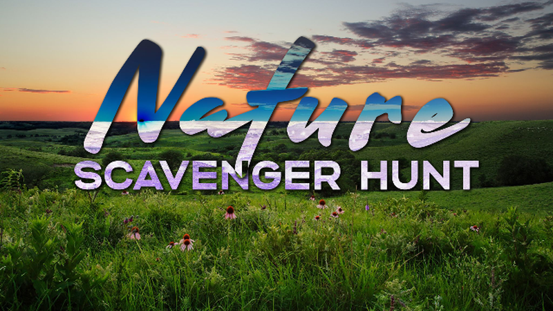 Nature Scavenger Hunt